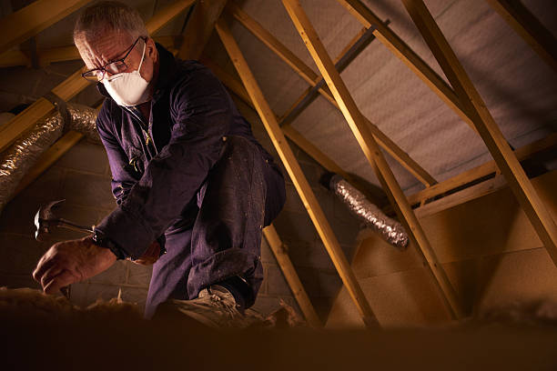 Best Insulation Removal  in Seven Corners, VA